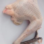 Daging ayam 