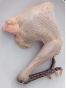 Ayam kampung segar